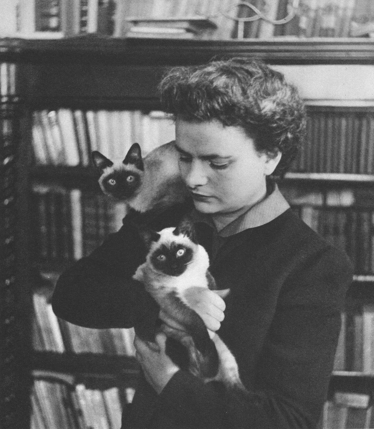 Elsa Morante con i suoi amati gatti